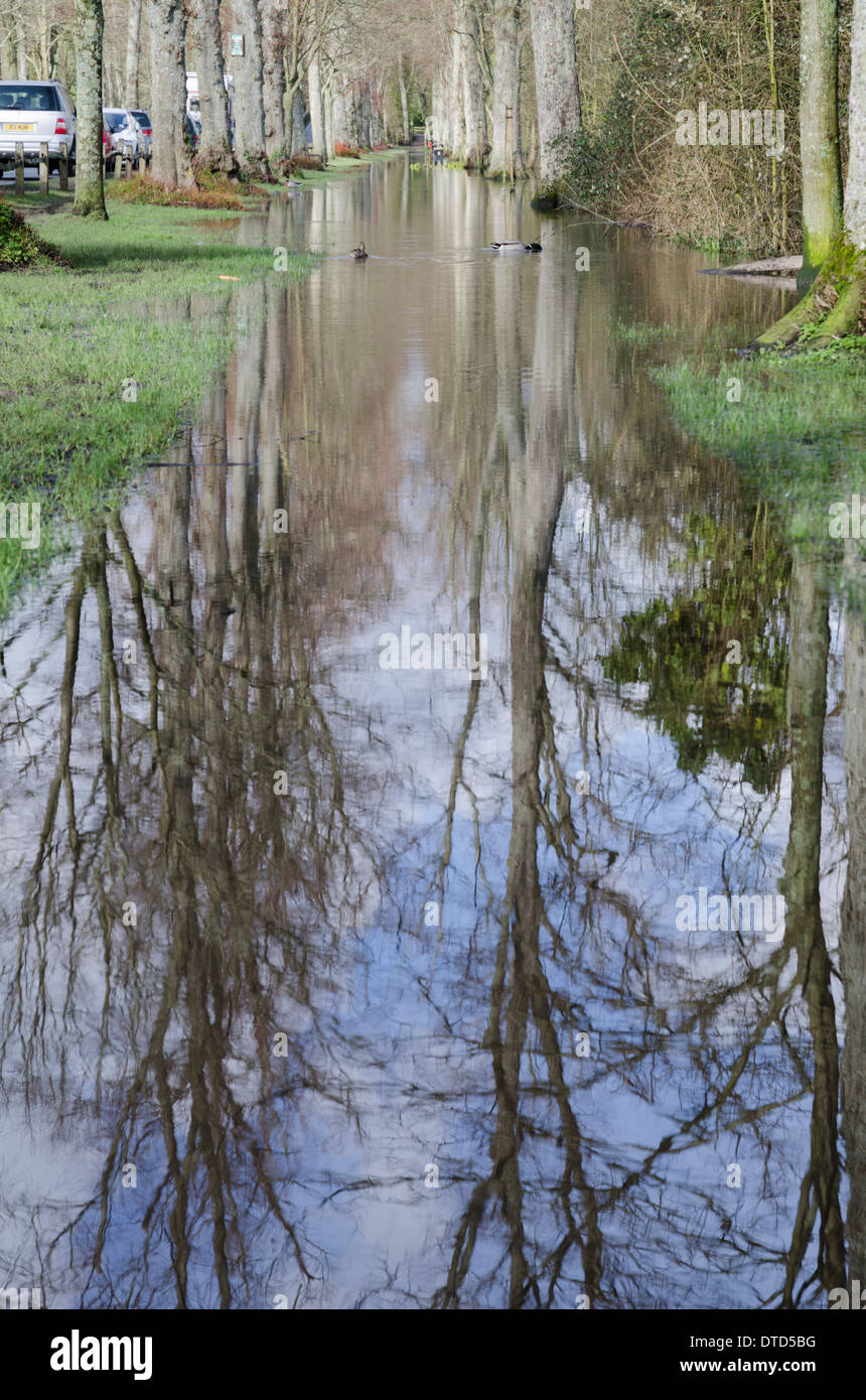 Flooded road and pavement in Arundel, West Sussex, England, UK, after storms and heavy rain in February 2014. Stock Photo