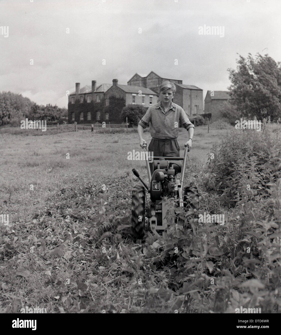 Historical picture from 1950s showing a young boy using a petrol driven rotary mower to cut down overgrown vegetation on a field Stock Photo