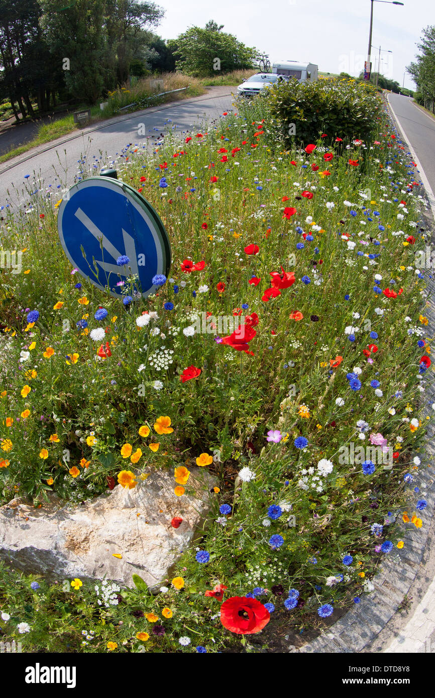flowerbed, flower-bed, flowers, flowery meadow, traffic refuge, pedestrian refuge island, roadside, Blumenwiese, Verkehrsinsel Stock Photo