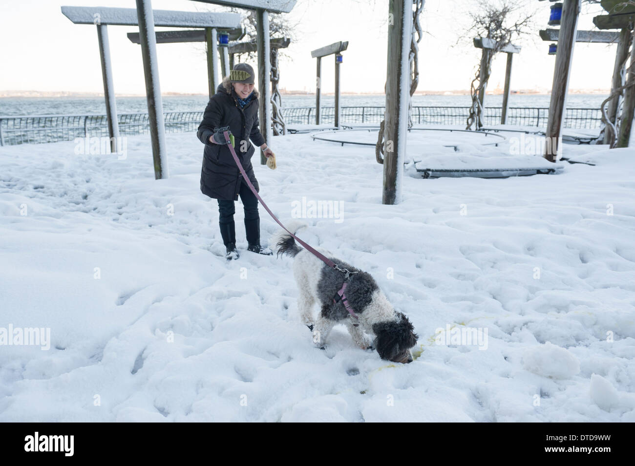 Walking the dog after a big snowstorm in Battery Park City, a