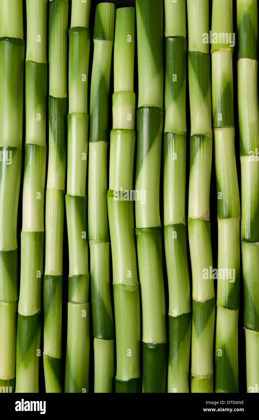 bamboo canes looking like DNA sequences Stock Photo