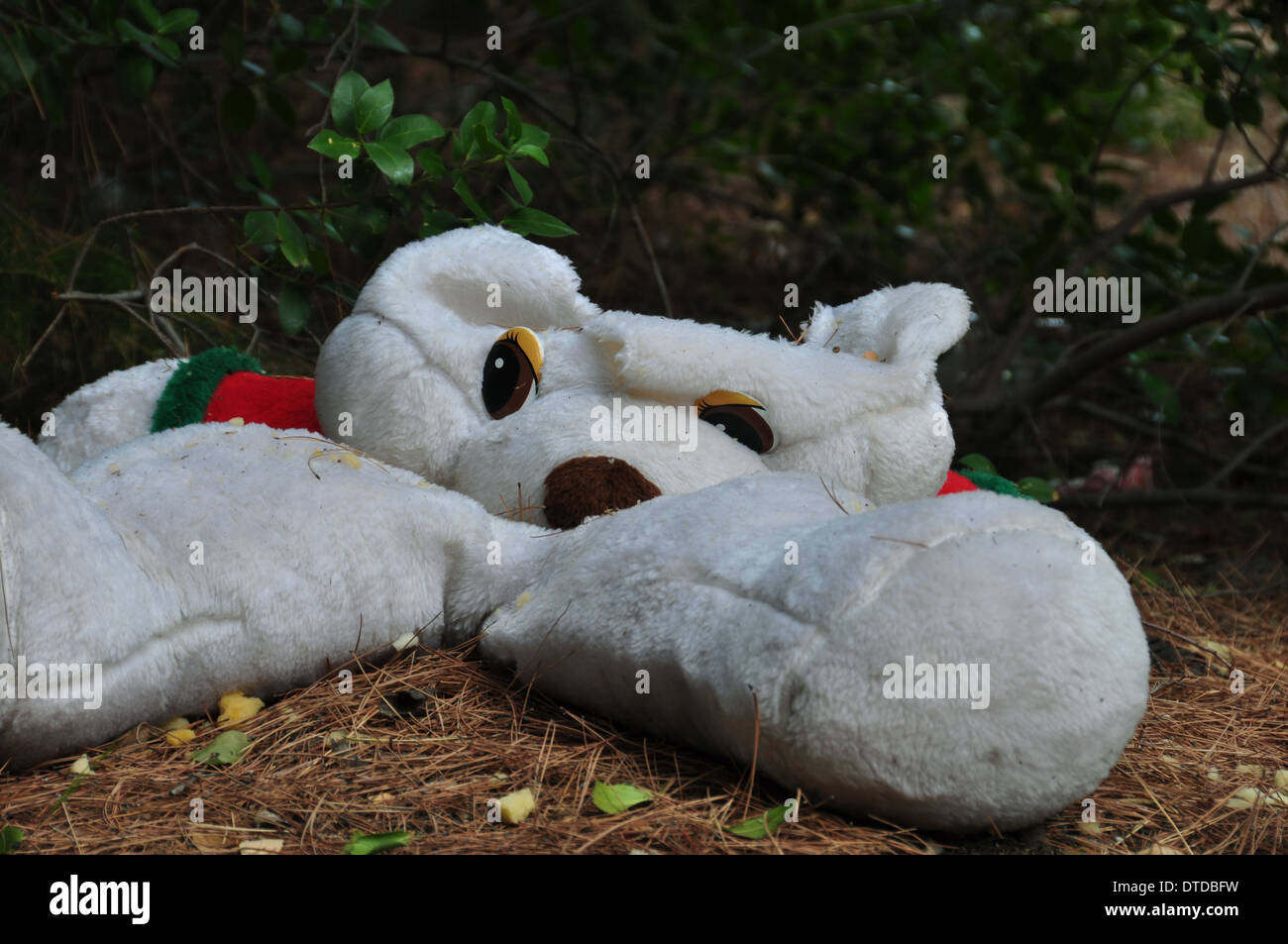 Torn teddy bear stuffed animal toy in a forest Stock Photo - Alamy