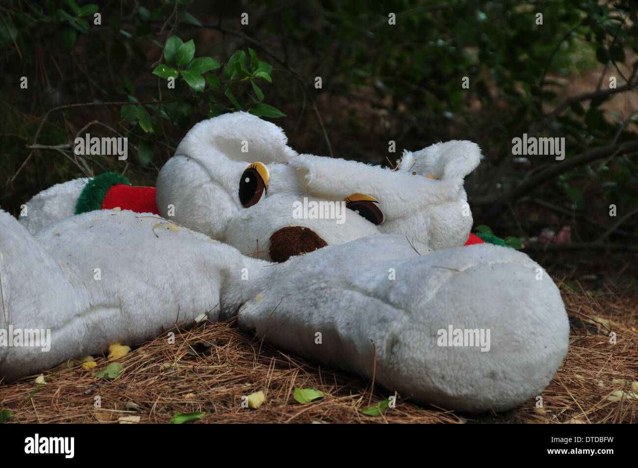 Torn teddy bear stuffed animal toy in a forest. Stock Photo