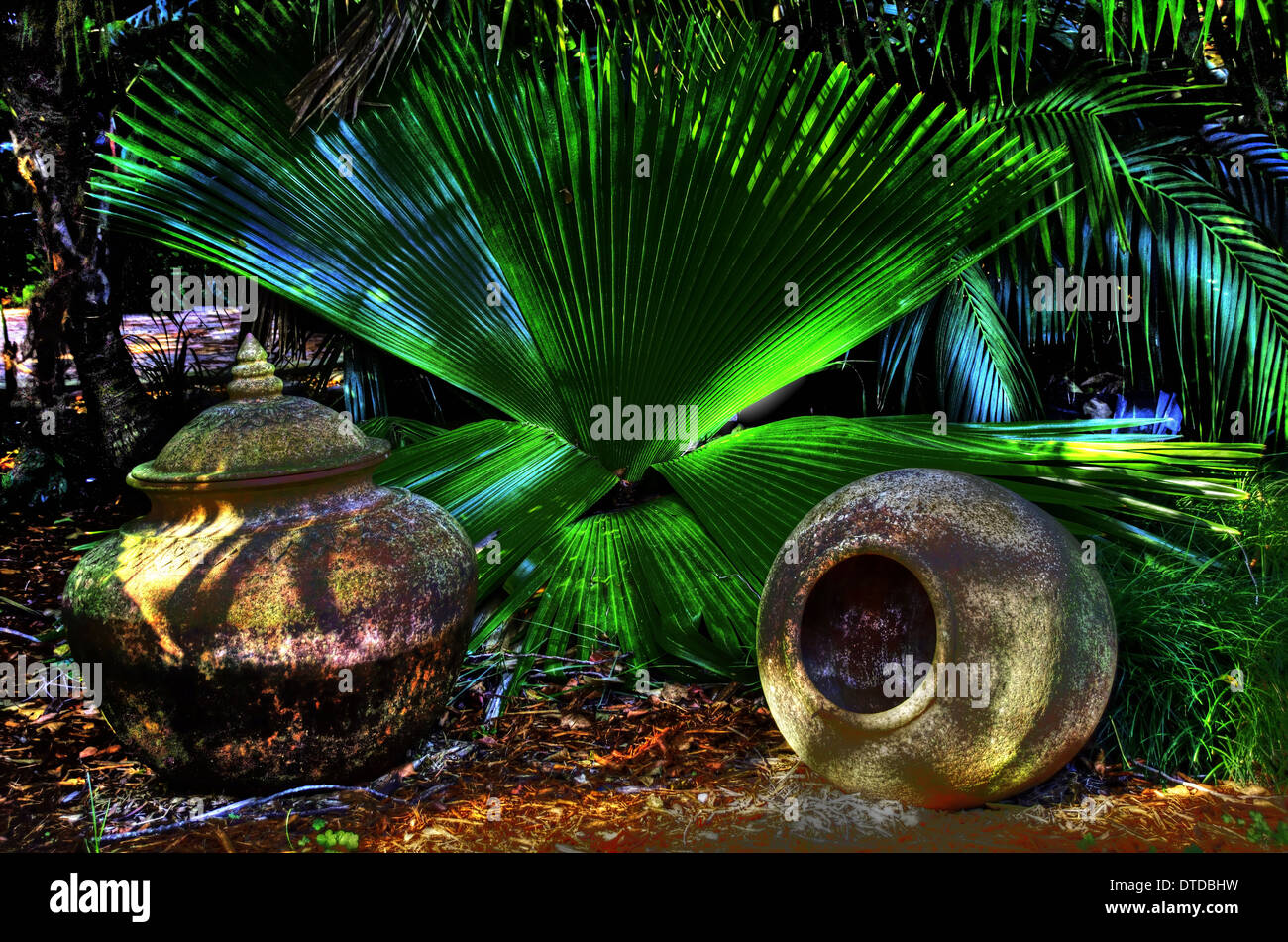 Tropical garden visitor hi-res stock photography and images - Alamy
