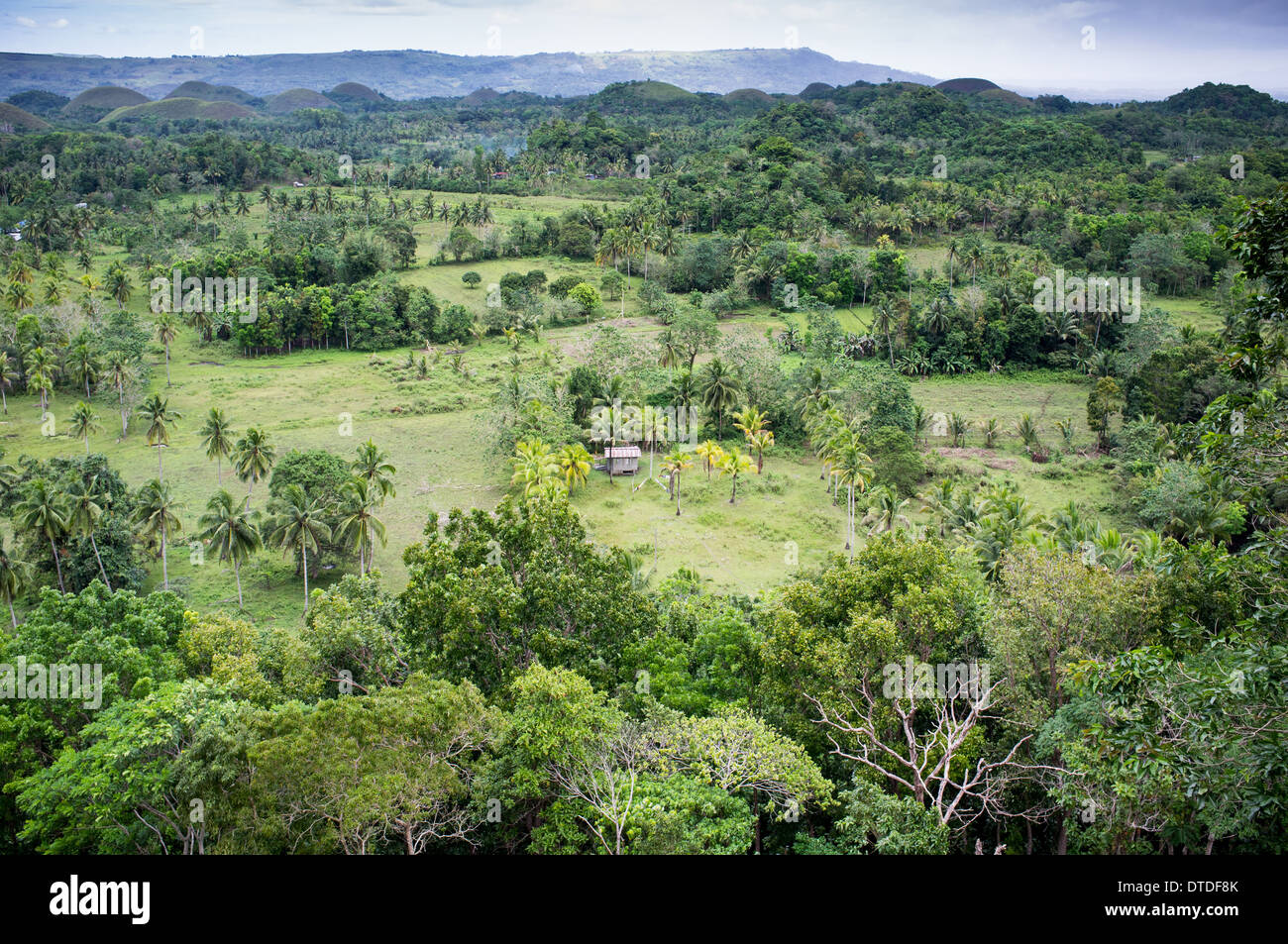 Chocolate Hills, Bohol Island, Philippines, Asia Stock Photo Alamy