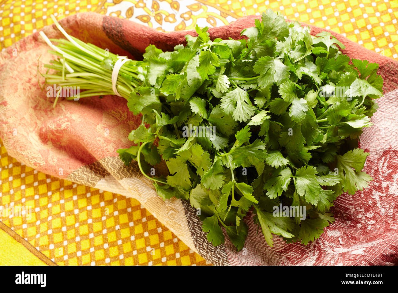 Coriander bunch hires stock photography and images Alamy