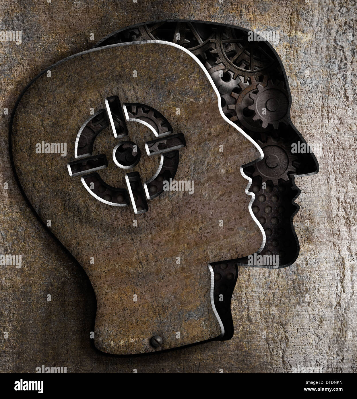 Human head hires stock photography and images Alamy