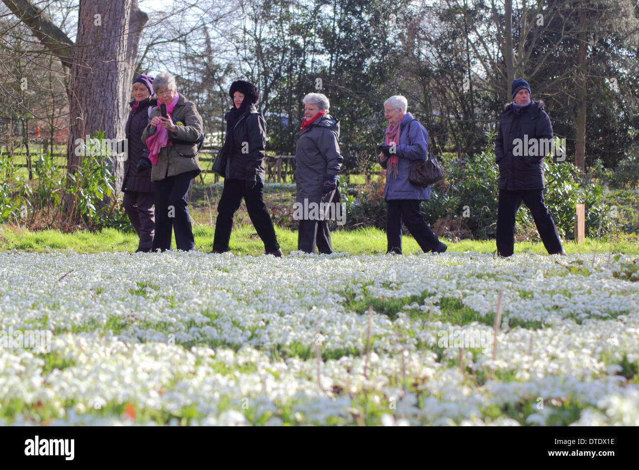 Visitors To Hodsock Priory Take An Afternoon Stroll In Sunny Weather visitors-to-hodsock-priory-take-an-afternoon-stroll-in-sunny-weather