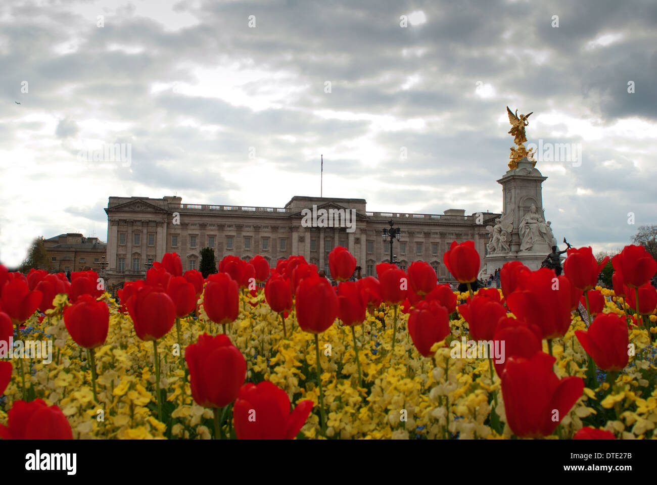 Buckingham Palace With Flowers Blooming In The Queen's Garden, London
