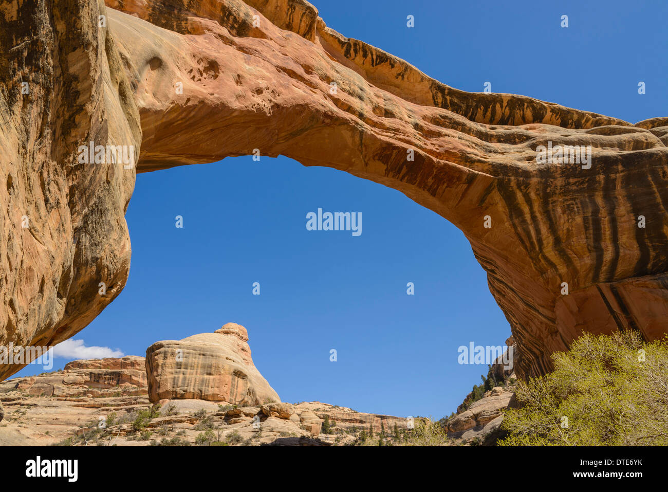 Sipapu Bridge, Natural Bridges National Monument, Utah, USA Stock Photo ...