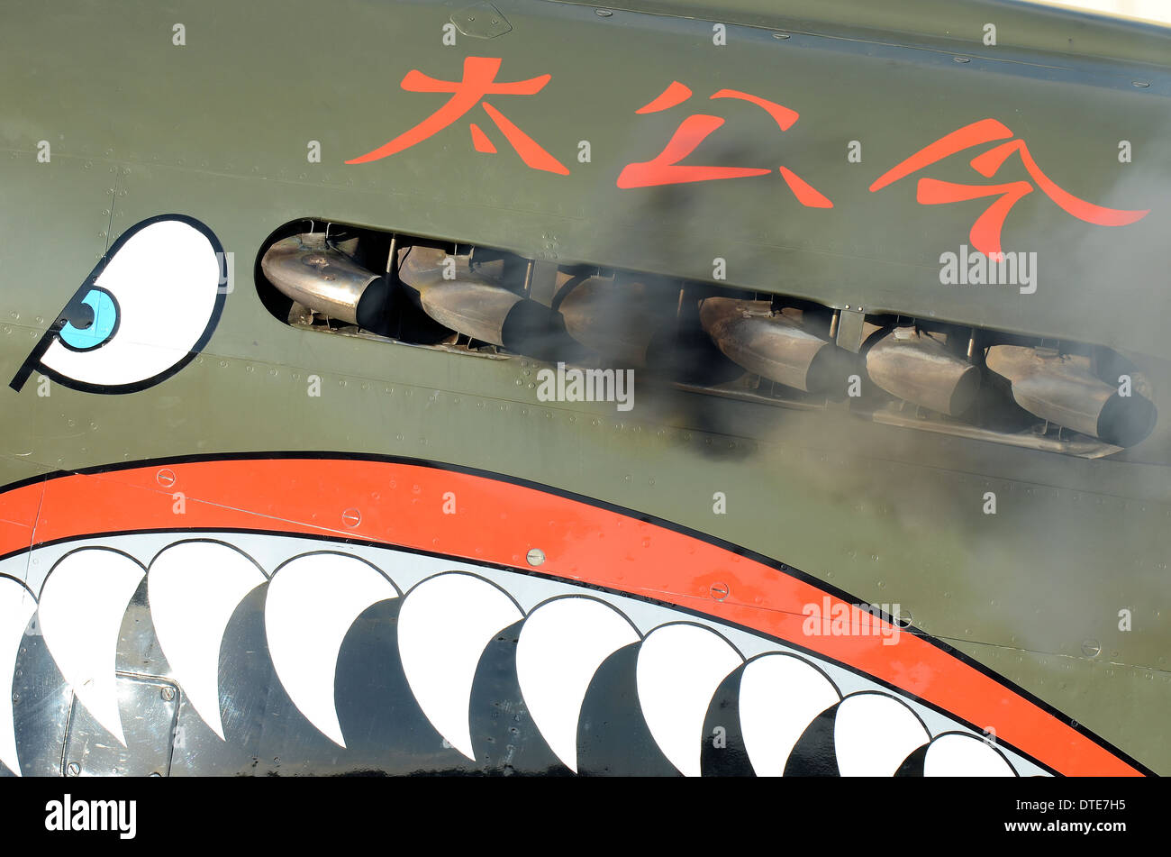 Shark Teeth Nose Art