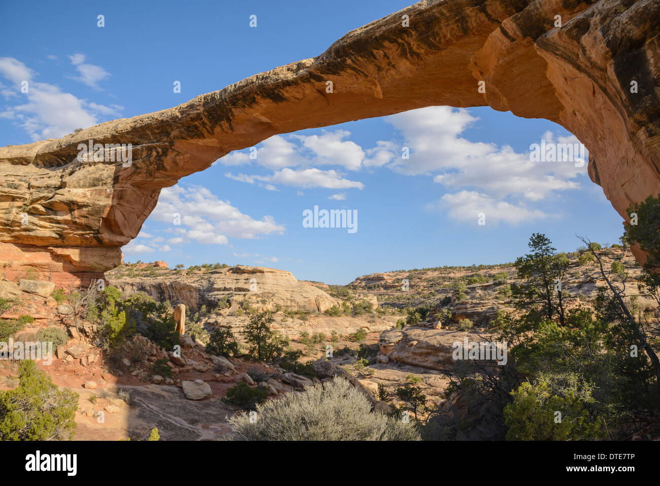 Owachomo Bridge, Natural Bridges National Monument, Utah, USA Stock