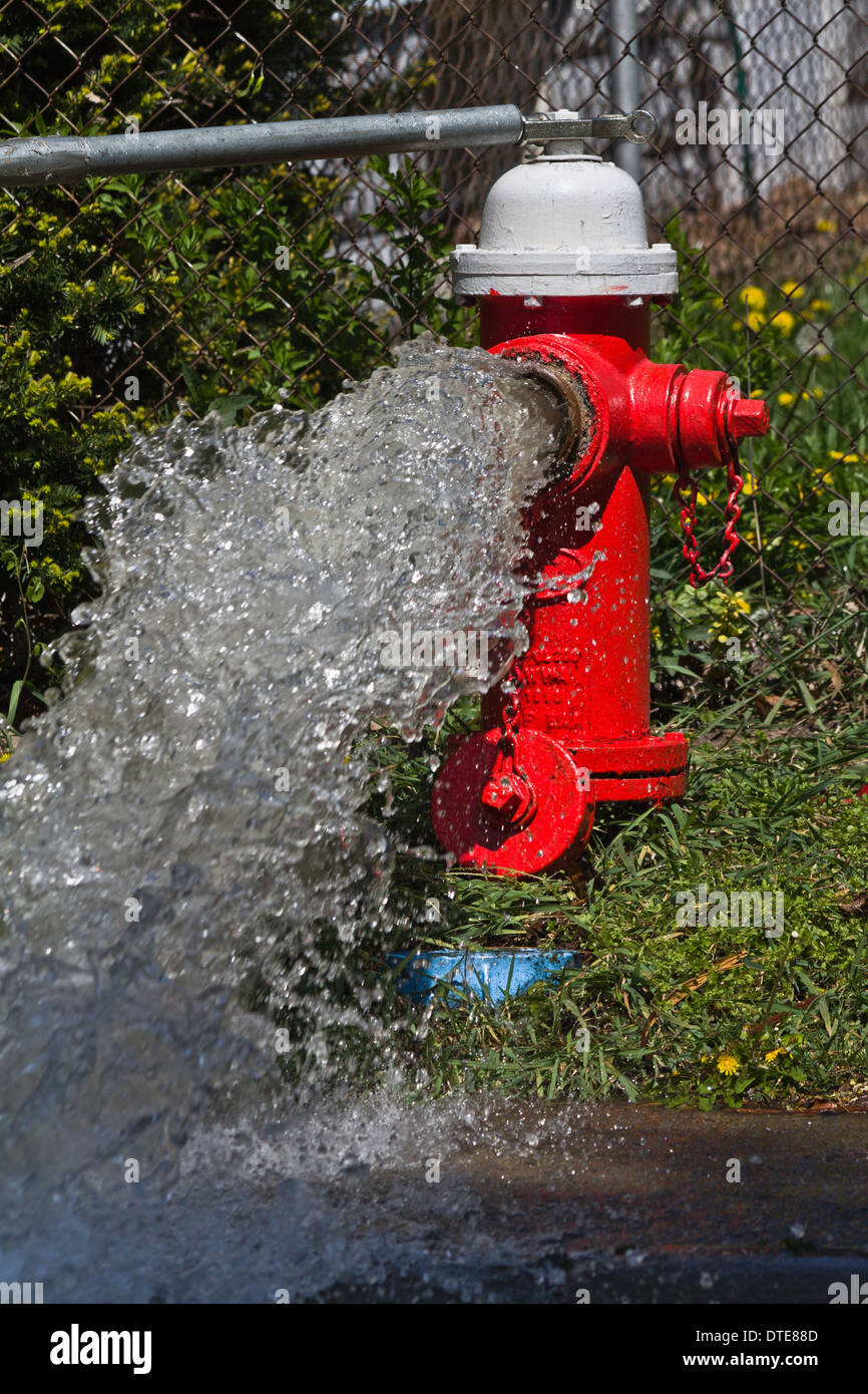 Damaged fire hydrant splashes wather on the city street nobody vertical