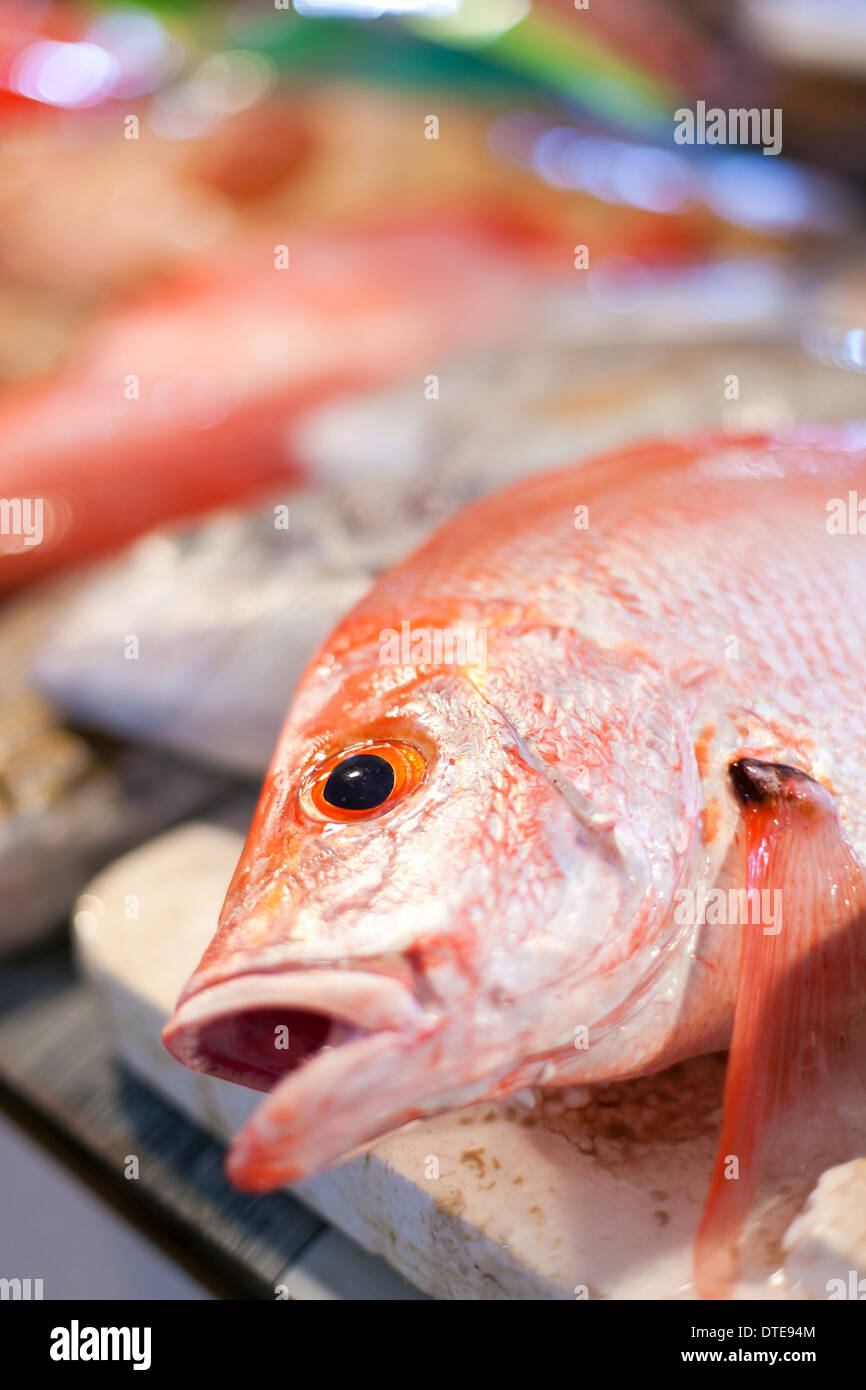 Red Snapper Poisson Frais Au Marché Du Poisson Sur La Glace Banque D'Images  et Photos Libres De Droits. Image 49905768