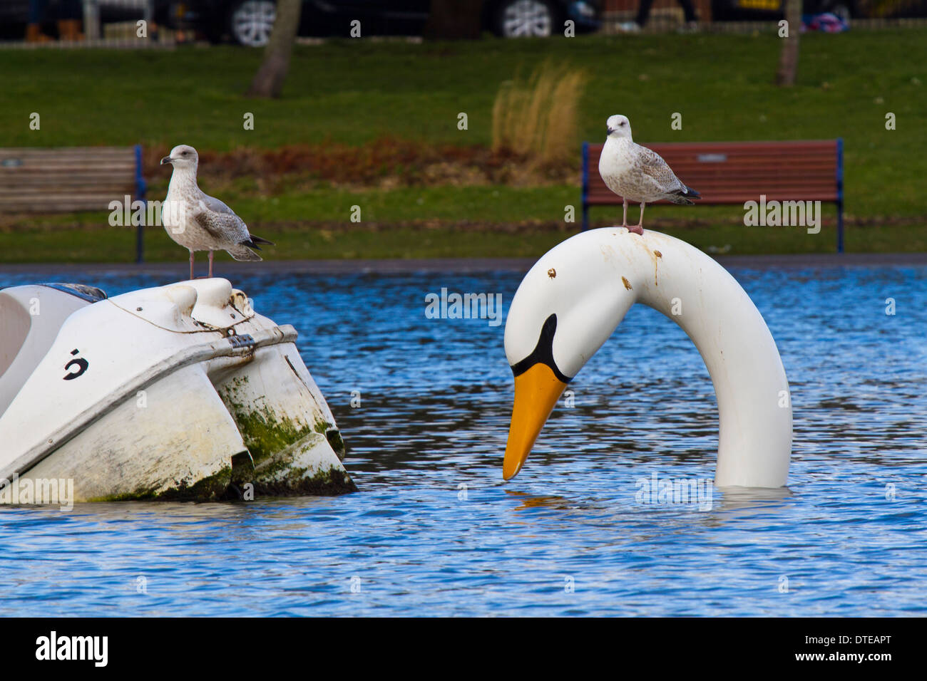 Canoe Lake Southsea Stock Photo Alamy