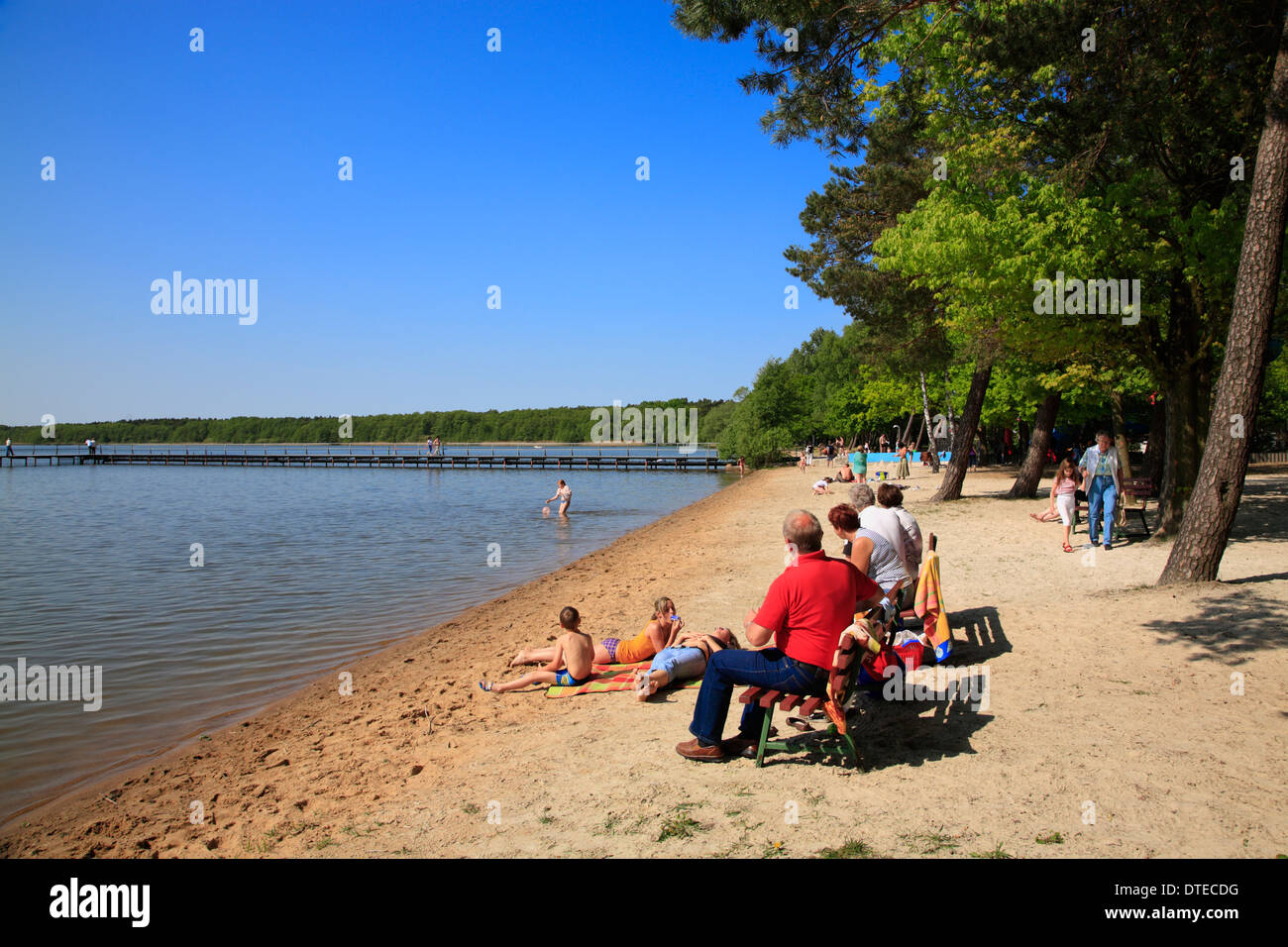 Beach at lake Arendsee,  Sachsen-Anhalt, Altmark, Germany, Europe Stock Photo