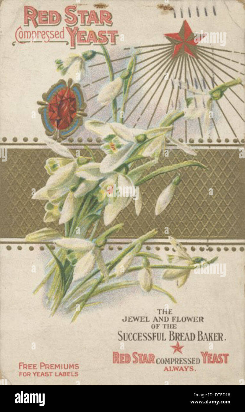 Red Star Yeast Chart