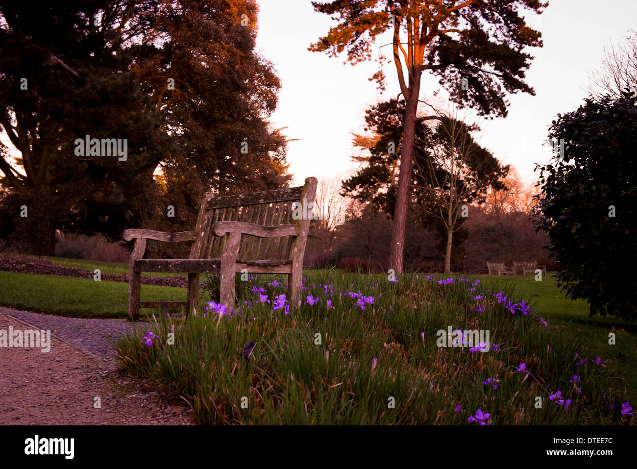 Bench in a Park, Kew Gardens Stock Photo Alamy