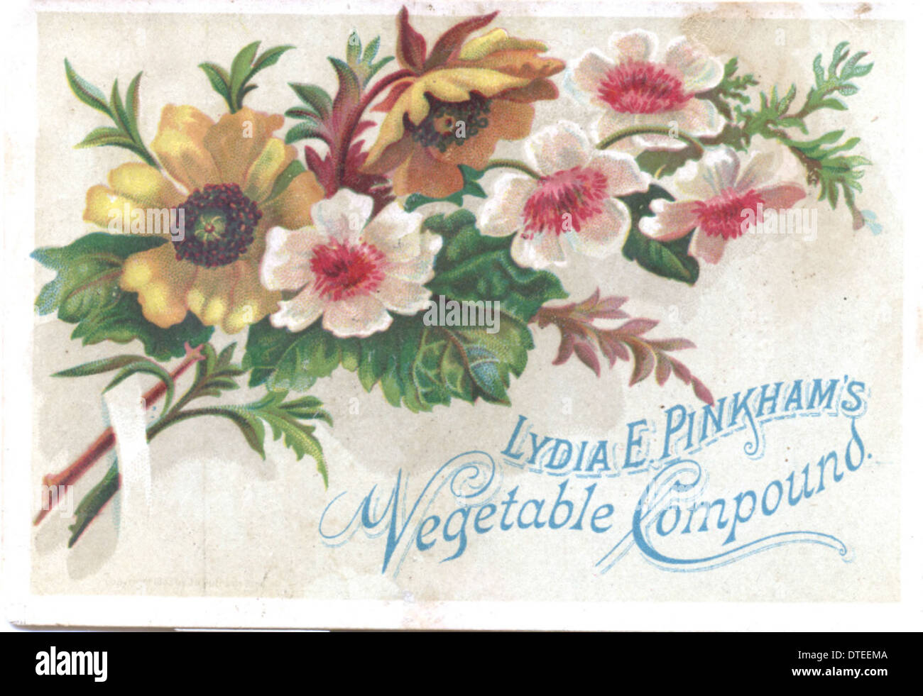Lydia E. Pinkham's Vegetable Compound Stock Photo Alamy