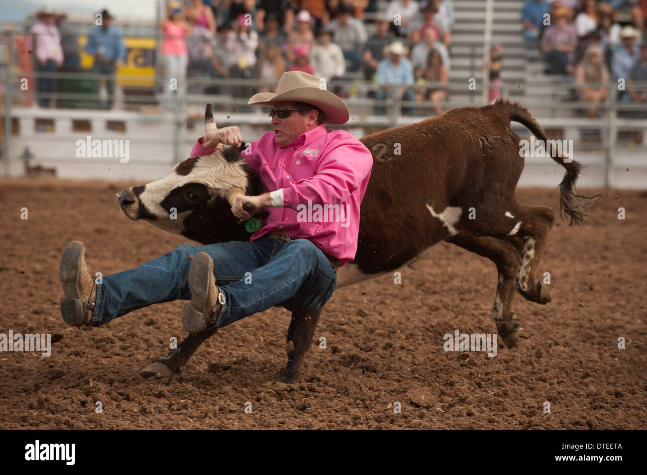 Rodeo tucson fiesta de los vaqueros hi-res stock photography and images ...