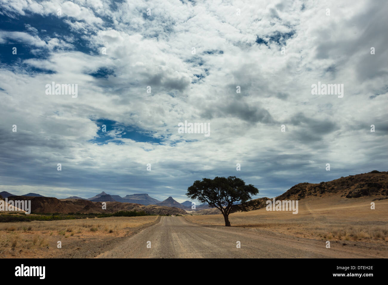 Single acacia tree lines edge of african road leading through the desert to the mountains Stock Photo
