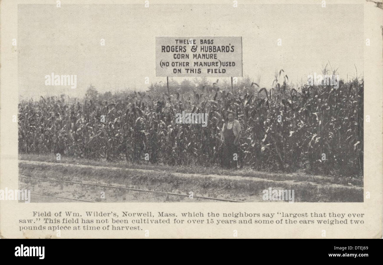 Rogers & Hubbard Company Stock Photo Alamy