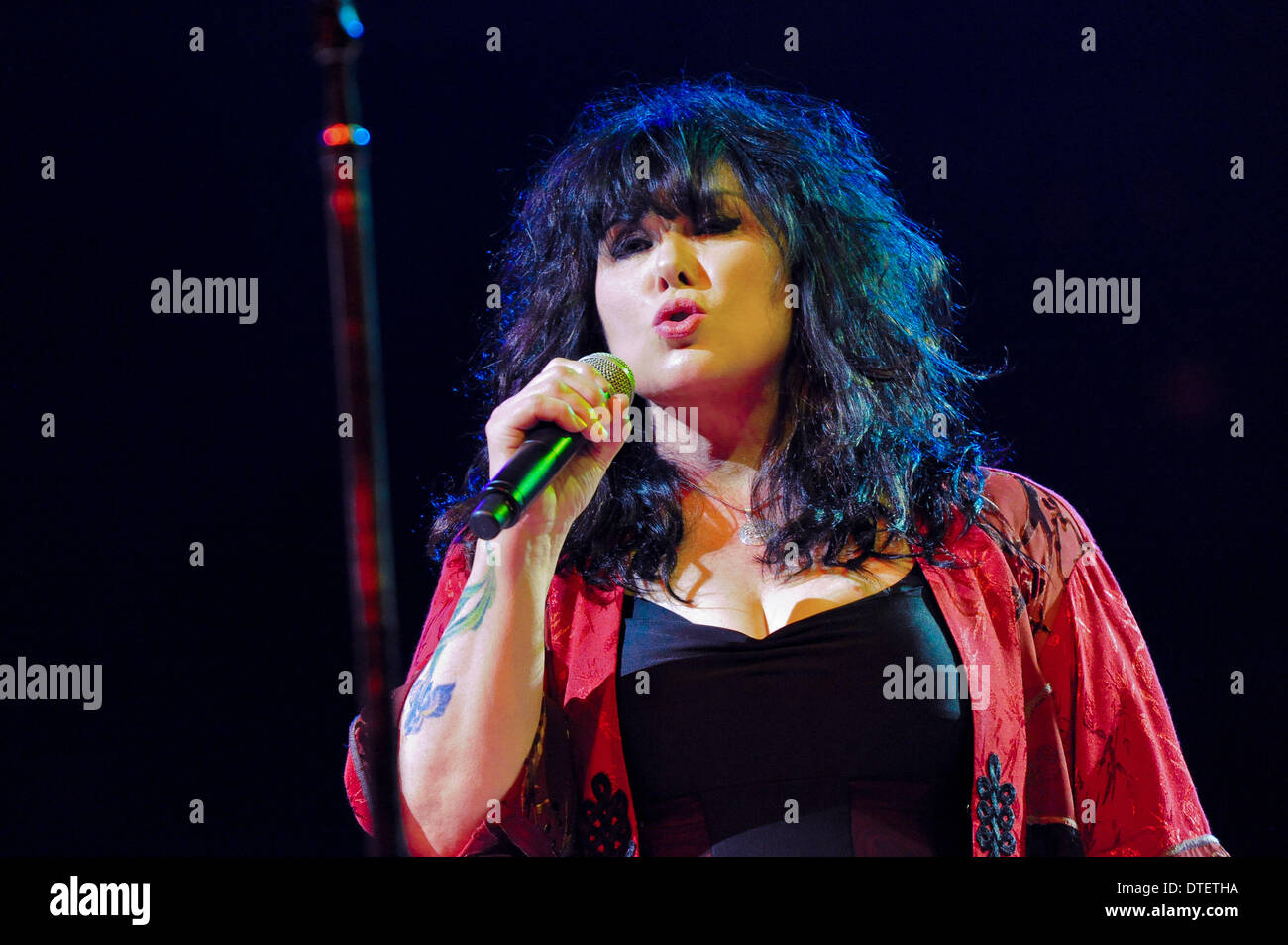 Texas, USA. 14th Feb, 2014. Vocalist Ann Wilson of Heart performs in ...
