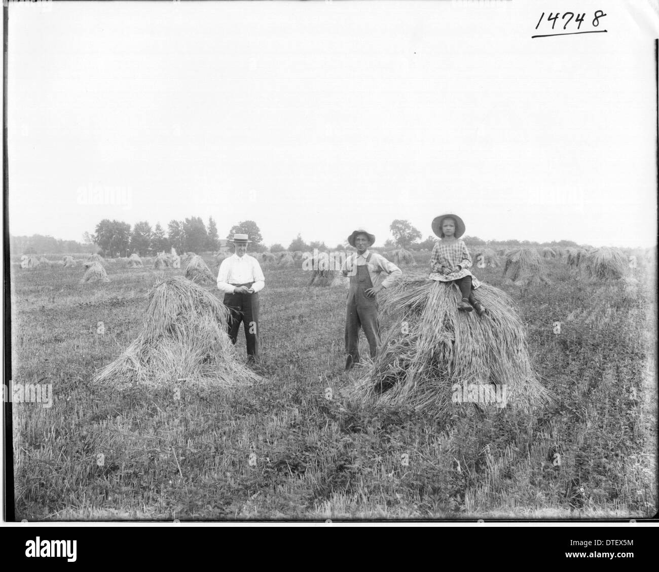 Men and girl in Frank Kapp wheat field 1915 Stock Photo