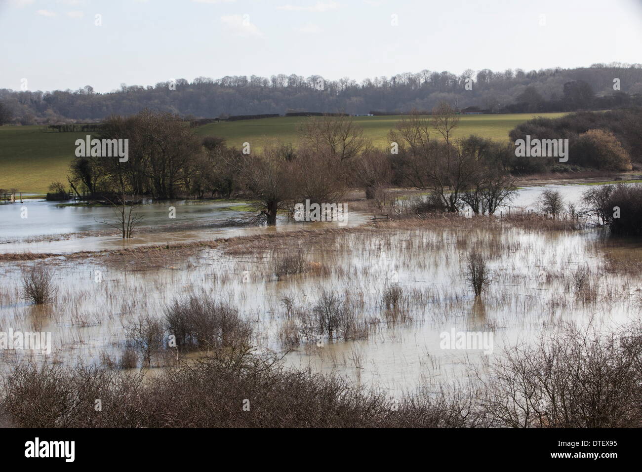 Oxfordshire, UK. 16th Feb, 2014. Stonesfield common and the River