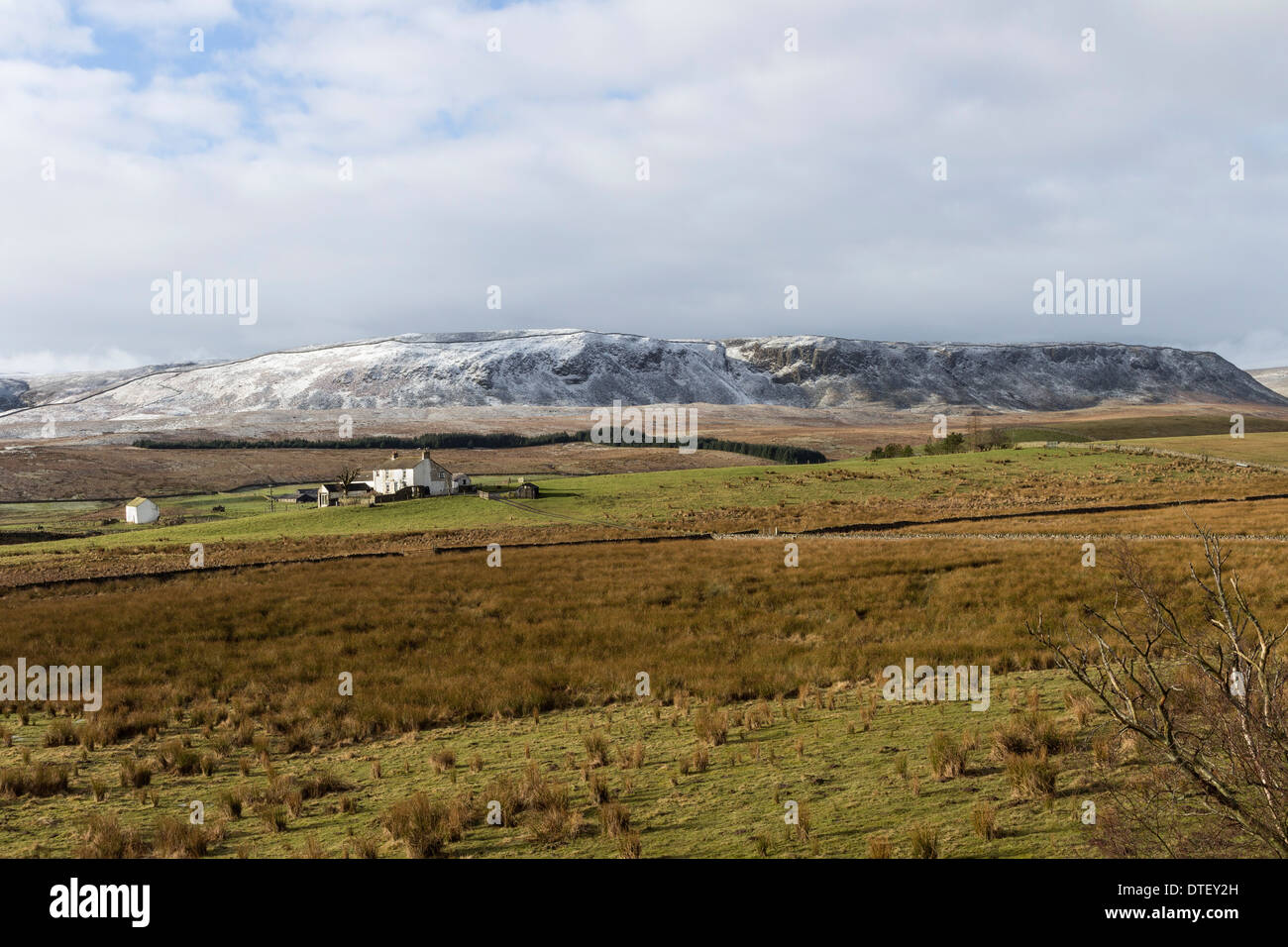 Cronkley Fell and Birk Rigg Farm From Hanging Shaw Forest in Teesdale
