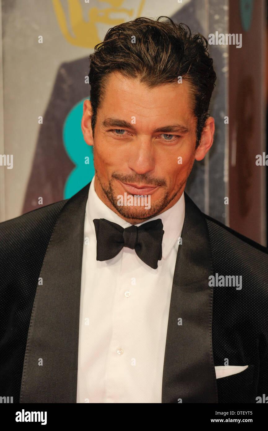 London, UK, 16/02/2014 : Red Carpet Arrivals at the EE British Academy Film Awards. Persons Pictured: David Gandy. Picture by Julie Edwards Stock Photo