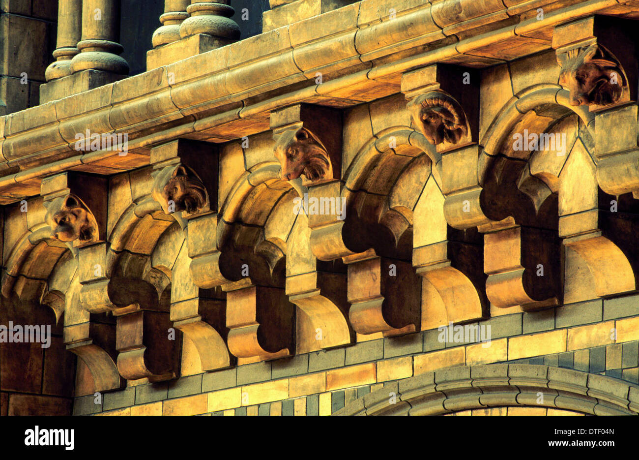 Detail of terracotta mouldings in the Waterhouse Building Stock Photo