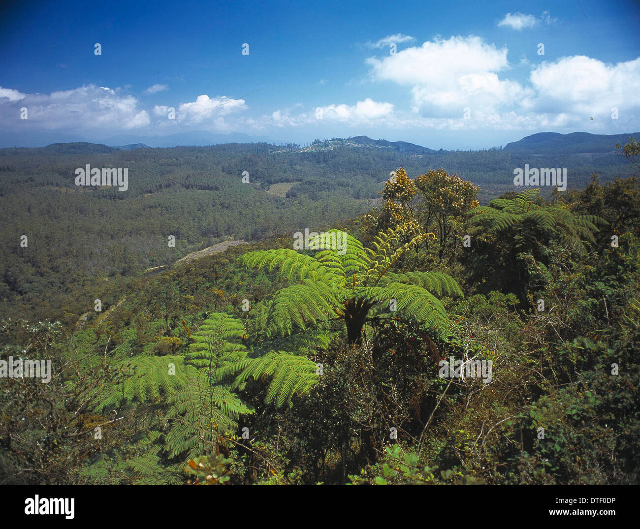 Horton Plains National Park, Sri Lanka Stock Photo