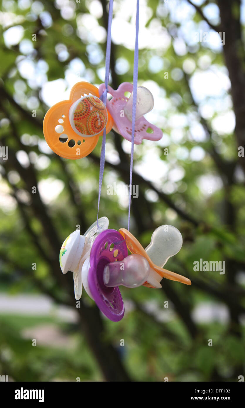 Berlin, Germany, a pacifier pacifier tree Stock Photo Alamy