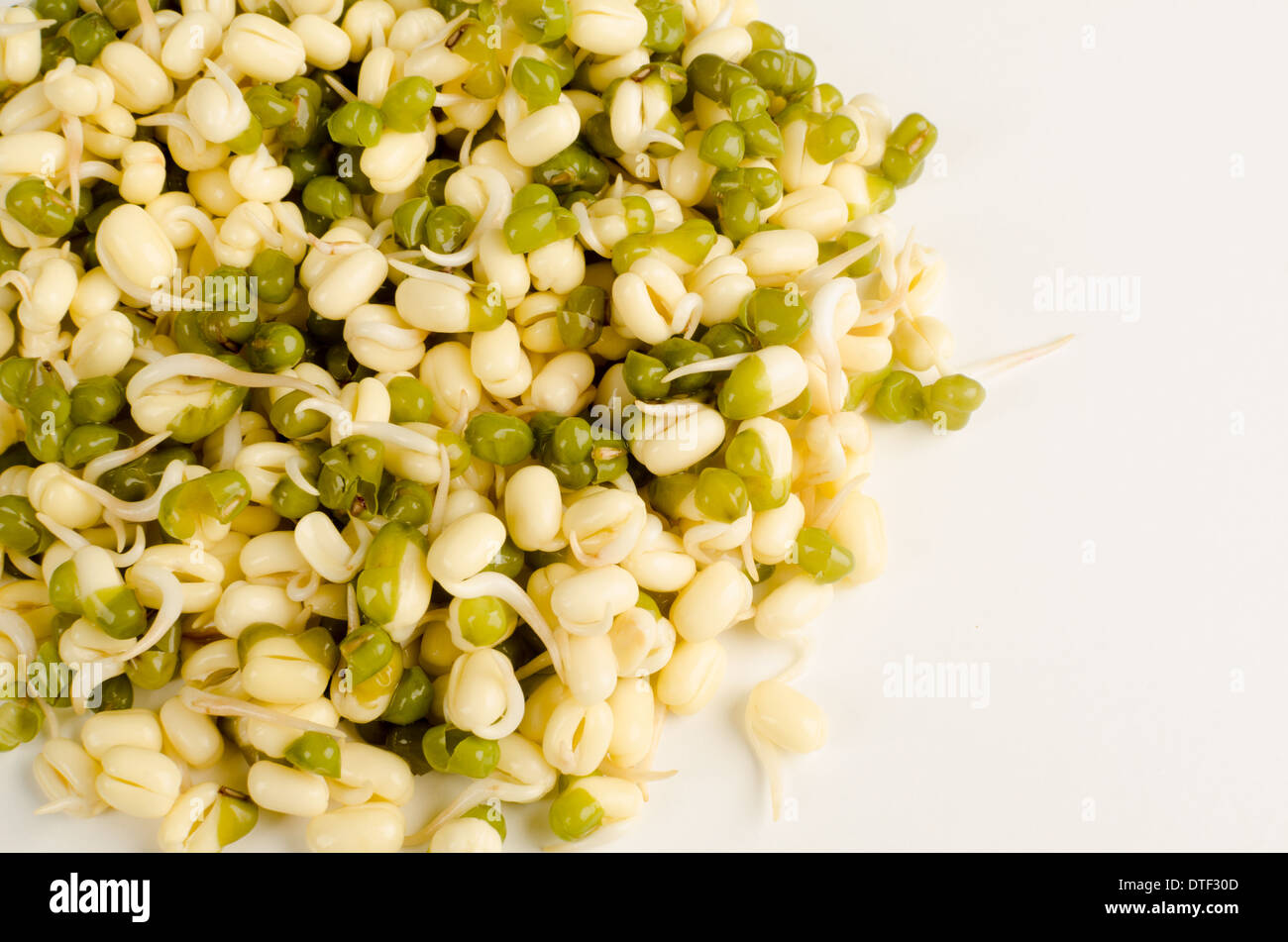 Soy beans and sprouts isolated on a white background Stock Photo