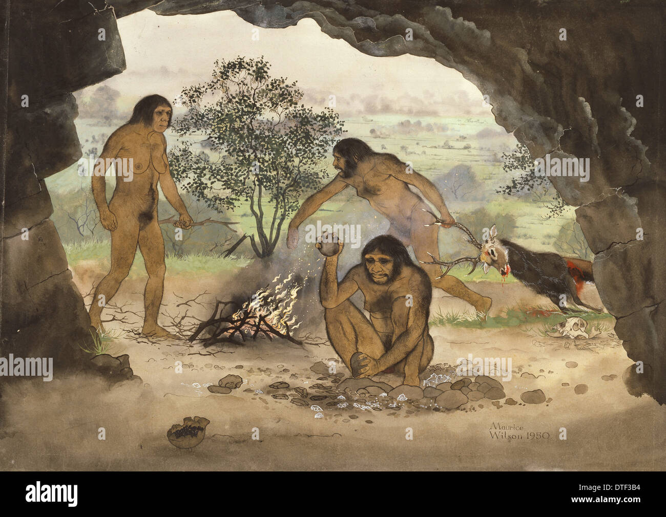 Homo erectus, Peking Man Stock Photo