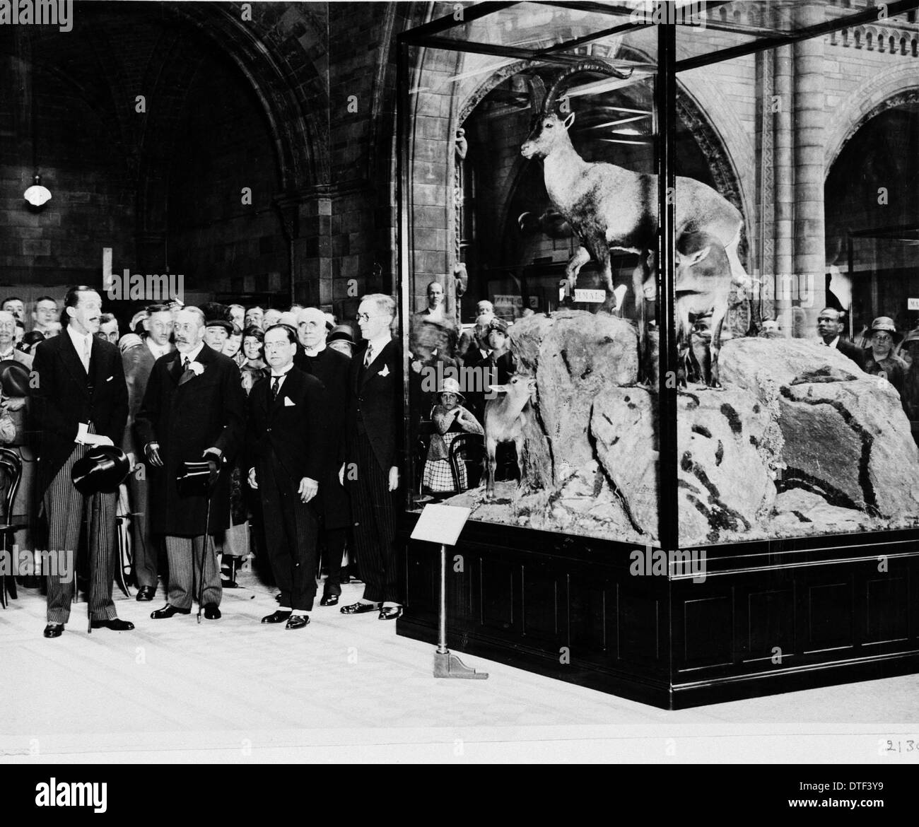 The King of Spain presenting an ibex, July 1927 Stock Photo
