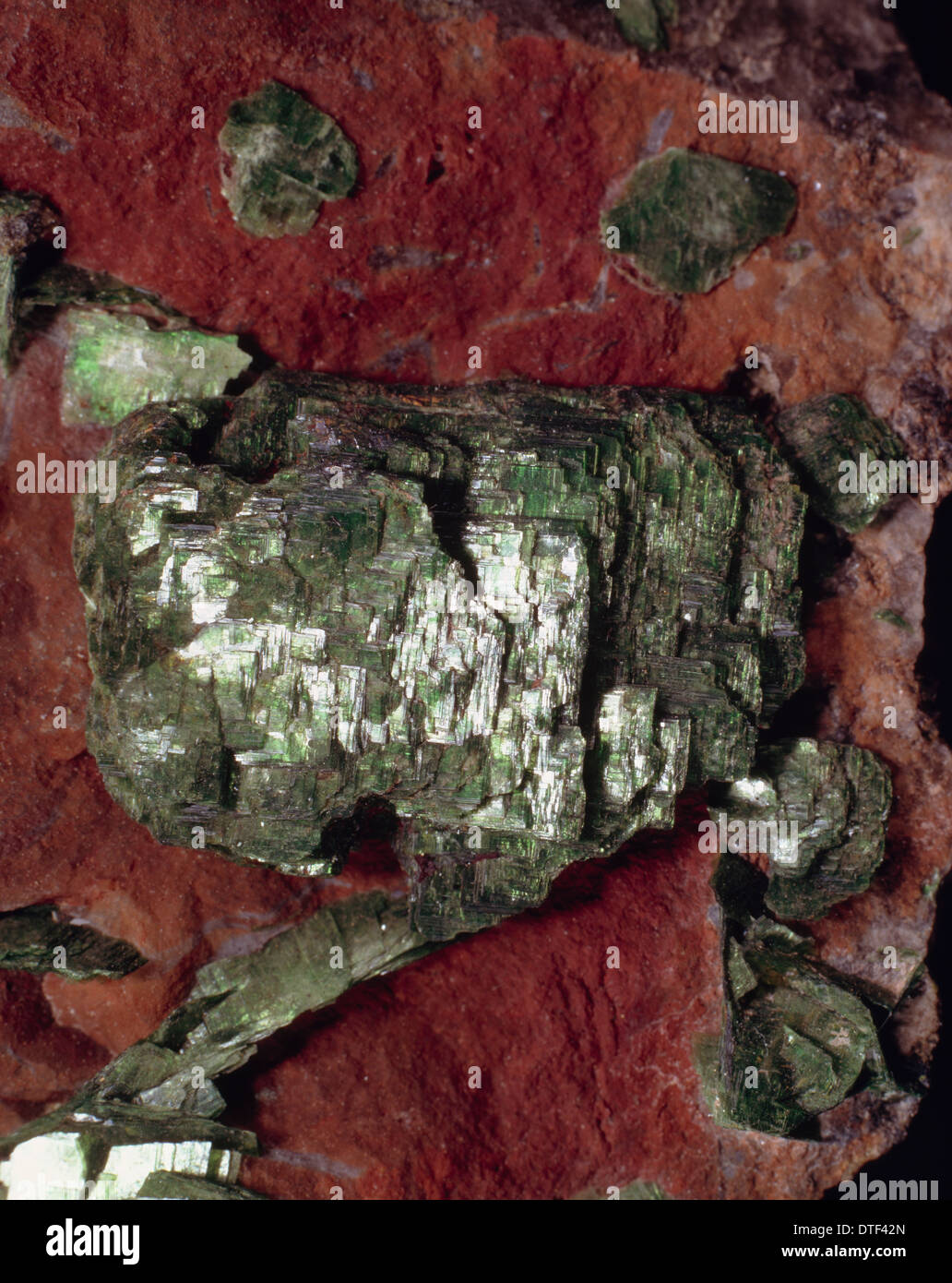 Hydrated copper uranyl phosphate hires stock photography and images