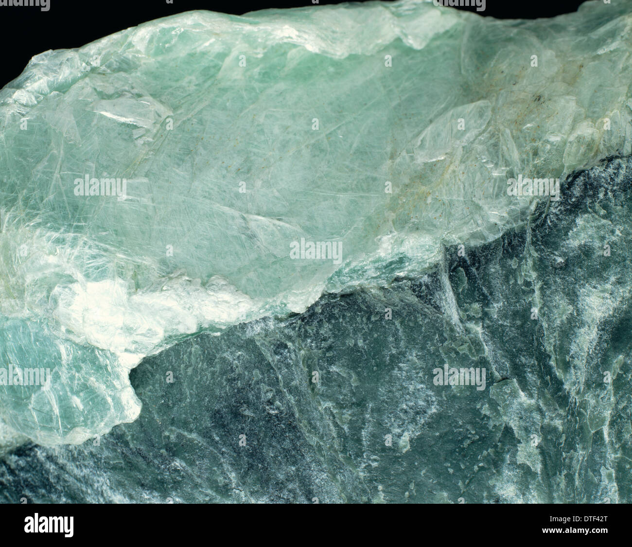 My Image 49