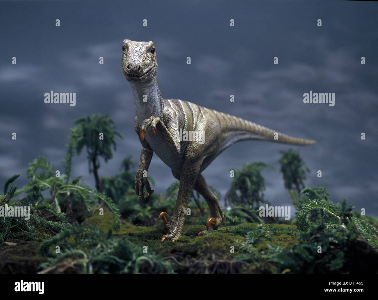 Deinonychus Stock Photo