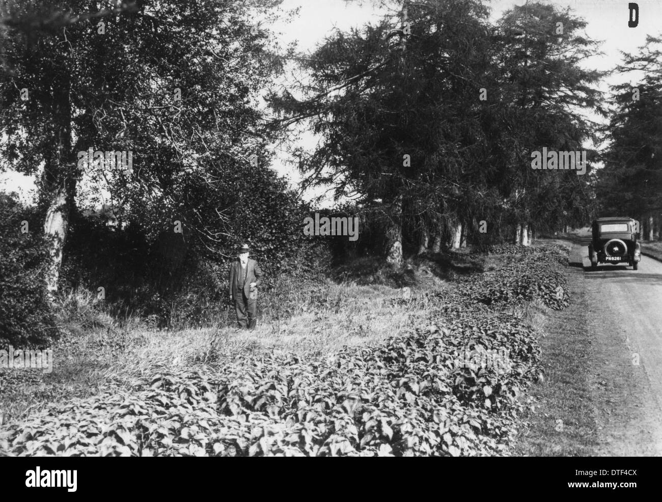 Barkham Manor drive, Piltdown Stock Photo Alamy