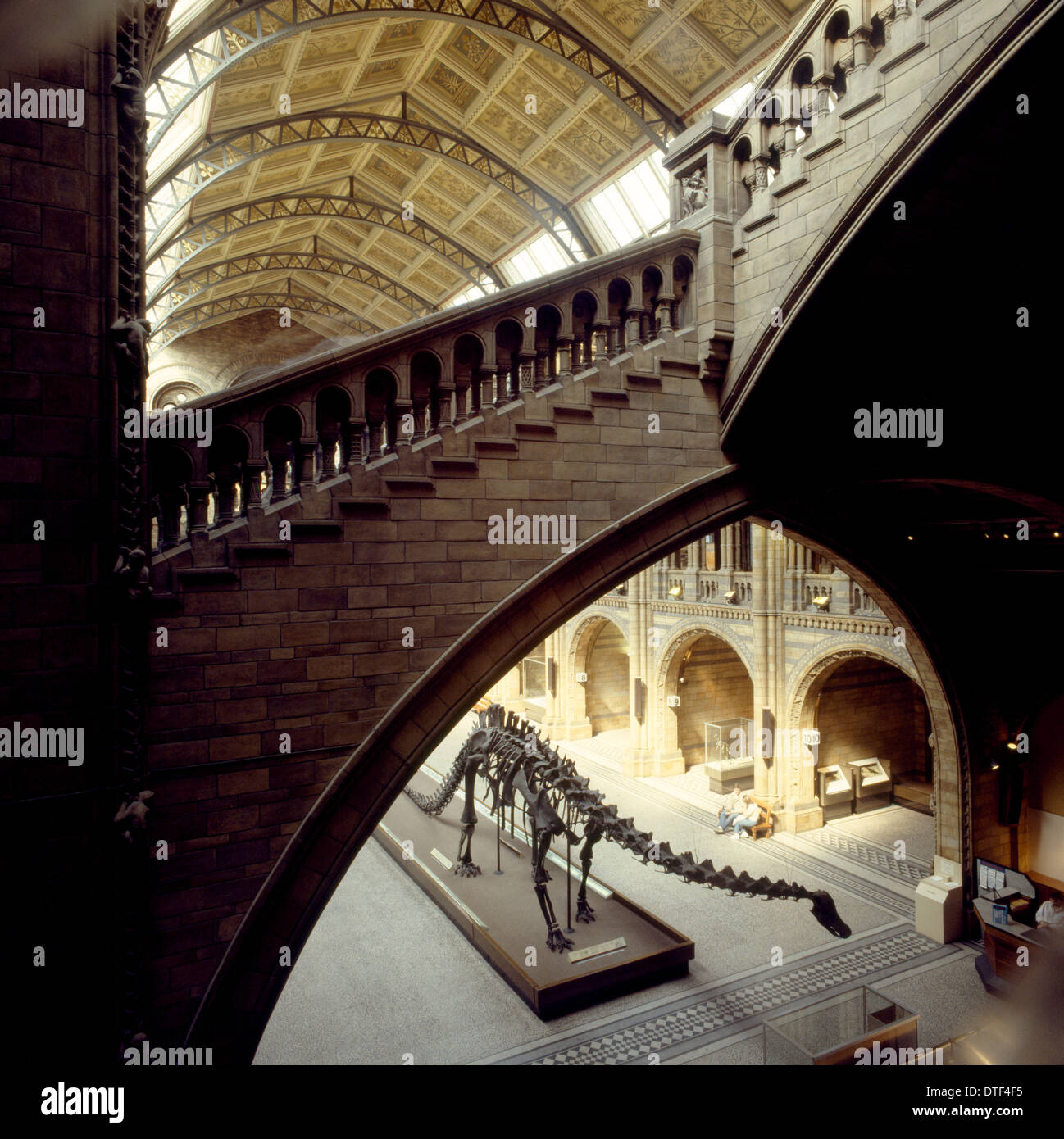 The Central Hall of the Natural History Museum, London Stock Photo