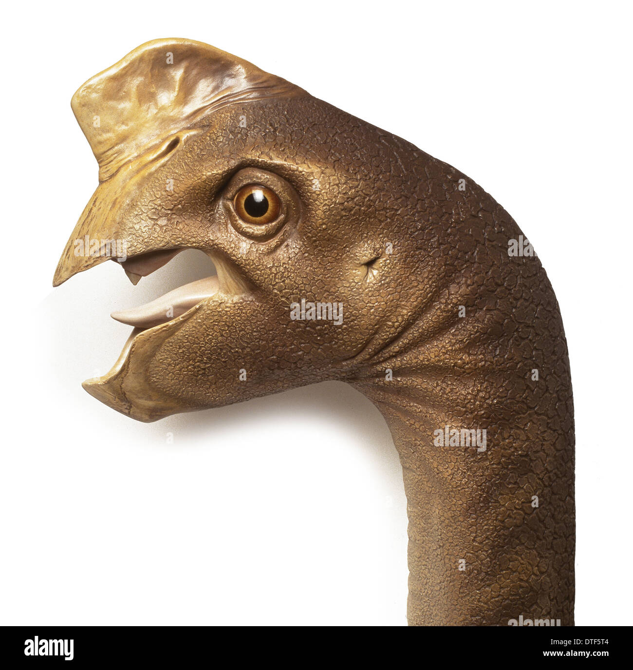 Oviraptor Stock Photo