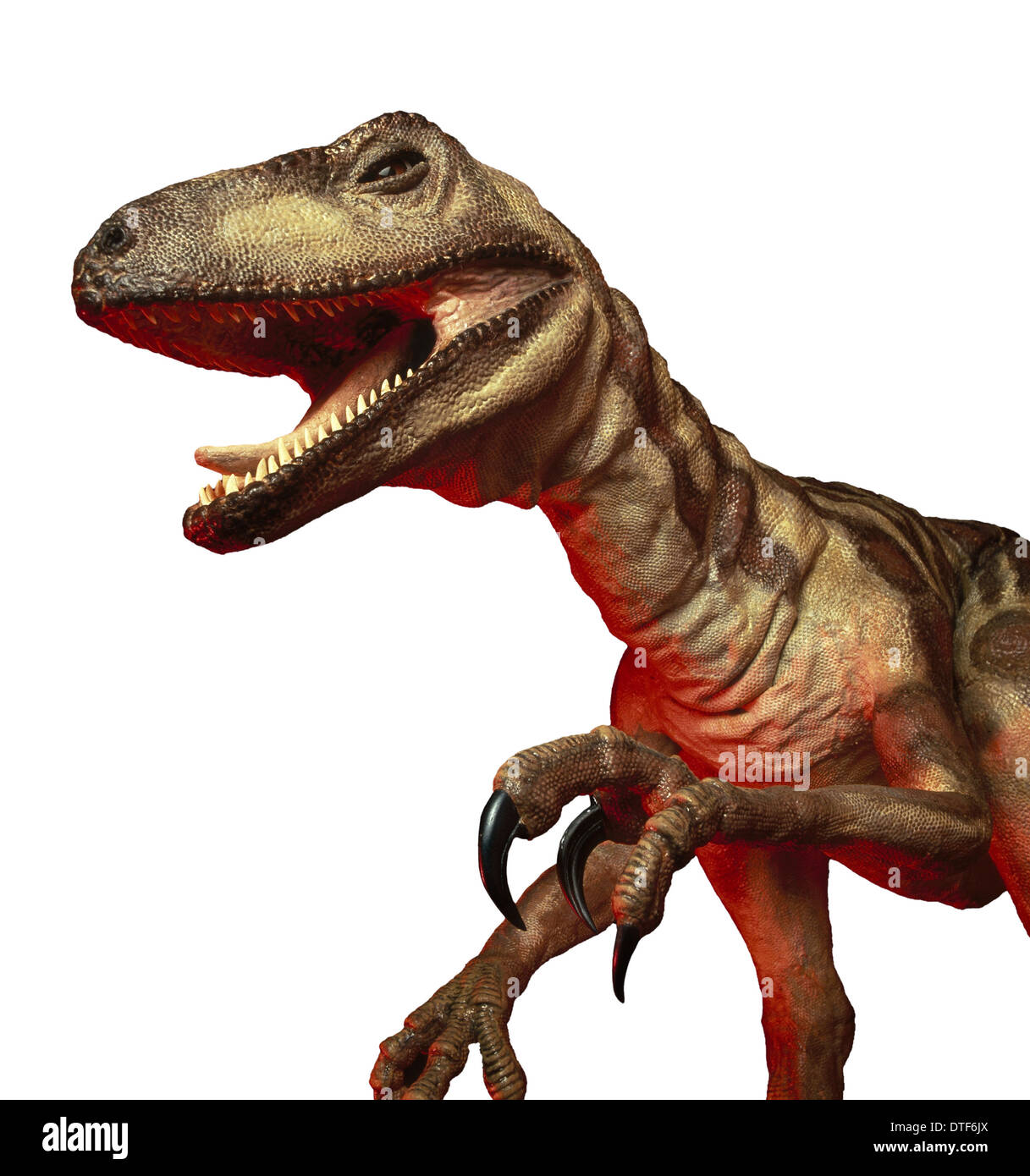 Deinonychus Stock Photo