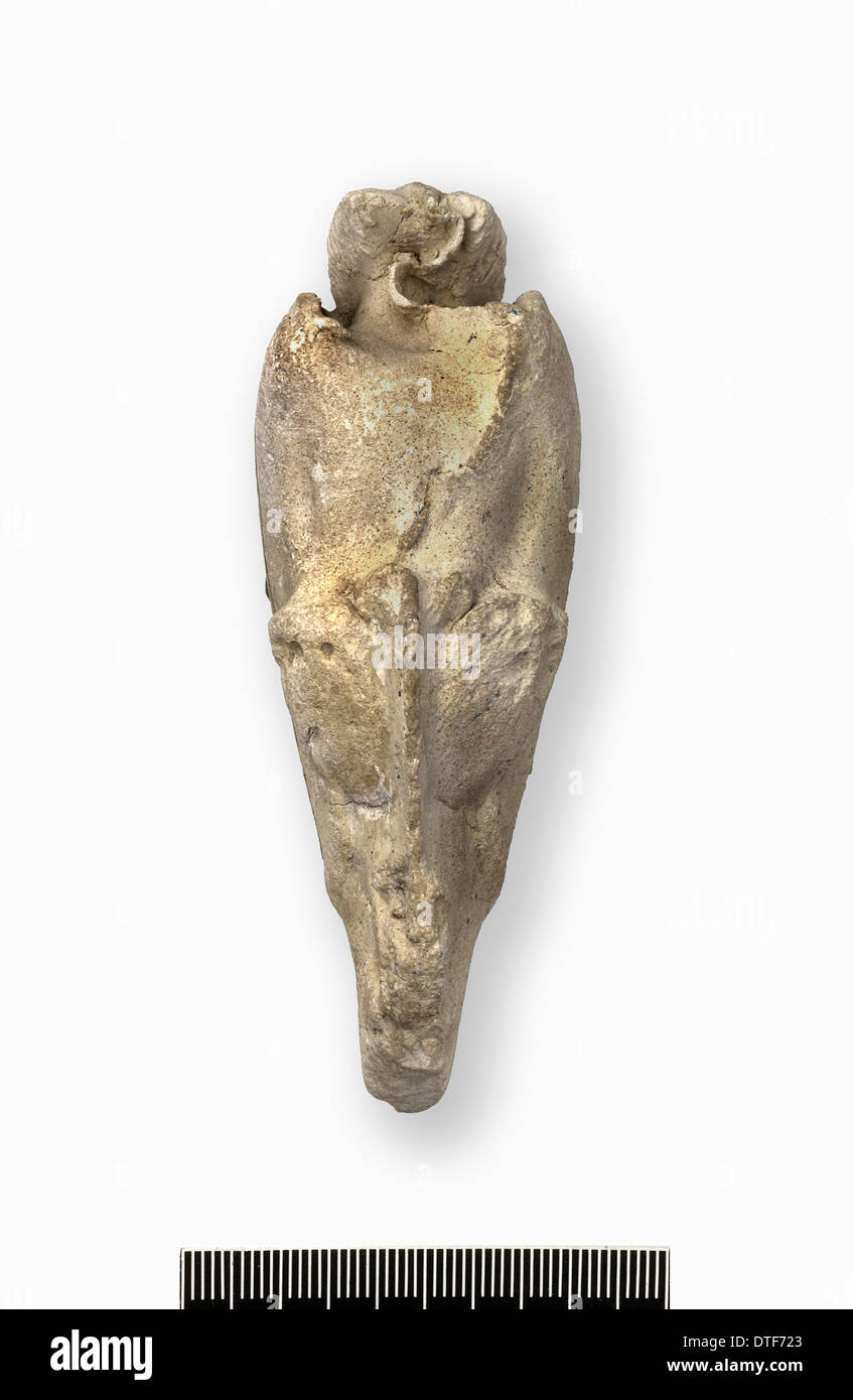 Myophorella incurva, steinkern of bivalve Stock Photo - Alamy