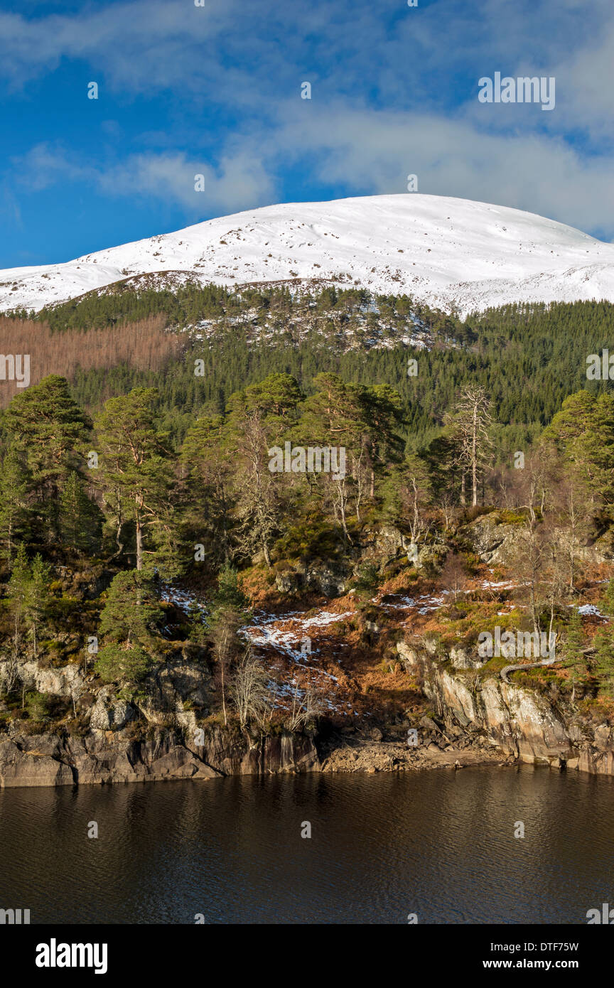 GLEN AFFRIC SCOTLAND THE LOCH WITH CALEDONIAN PINES AND SNOW ON THE MOUNTAIN Stock Photo
