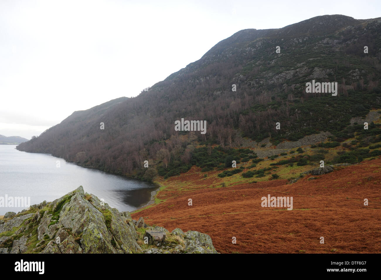 Panoramic View of the Landscape  from Silverpoint looking at Birk fell on the edge of Ullswater in the Lake District National Park Stock Photo