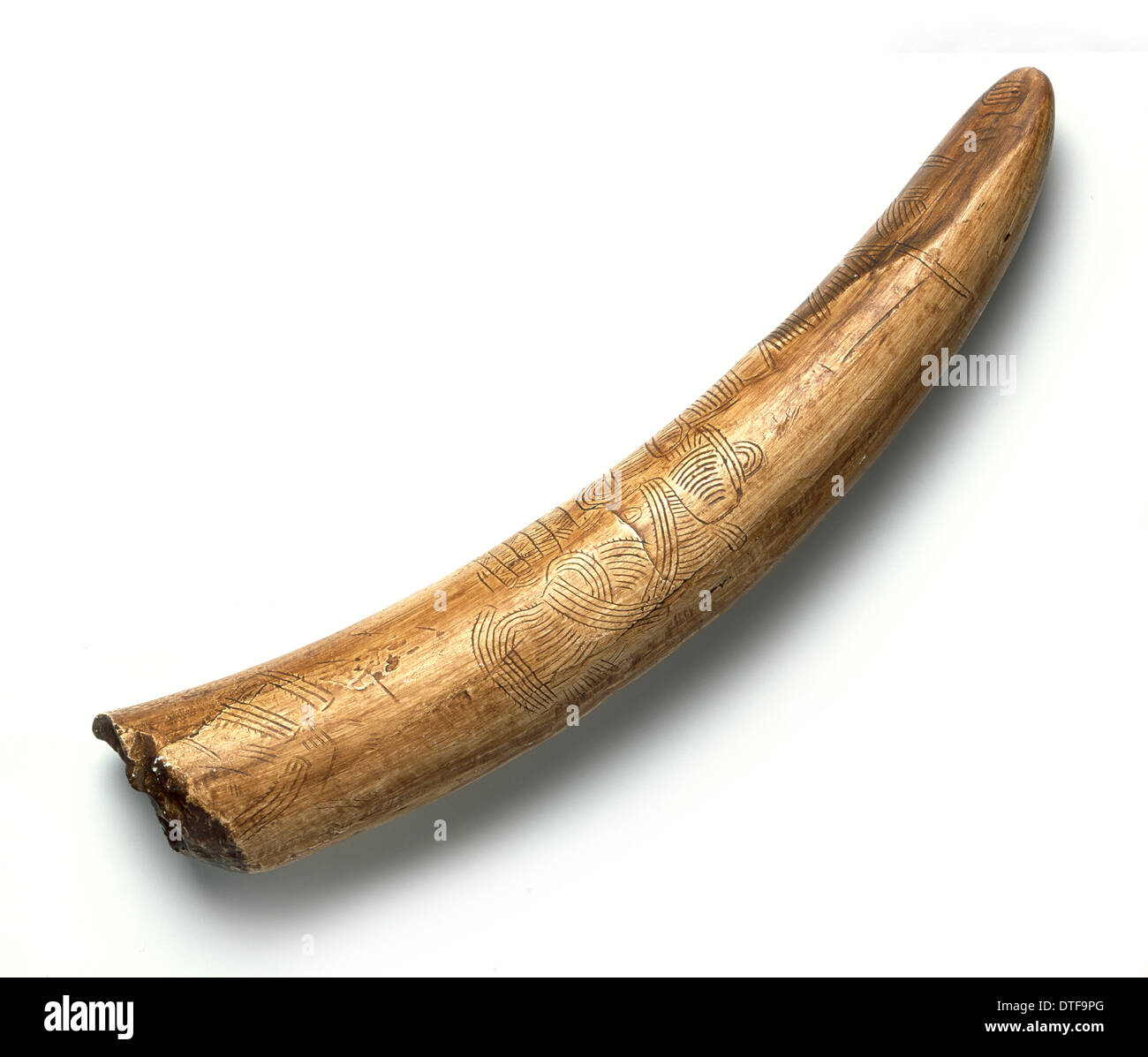 Engraved mammoth tusk Stock Photo