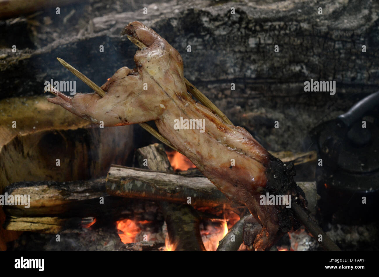 Rabbit fire hi-res stock photography and images - Alamy