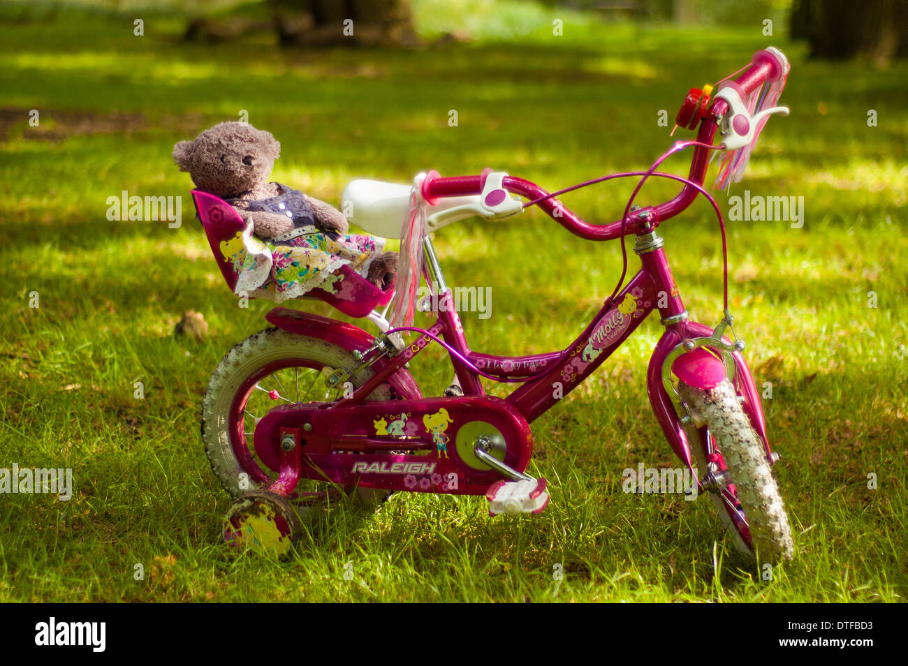 Teddy sitting on a girl's pink bike on a grassy meadow Stock Photo